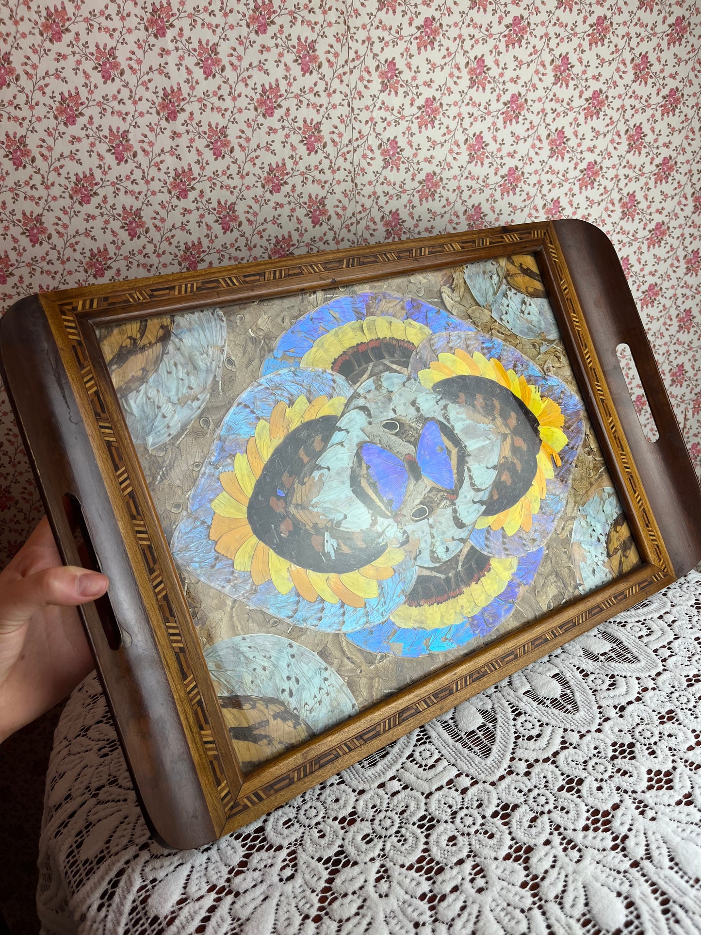 Vintage Brazilian Inlaid Butterfly Tray