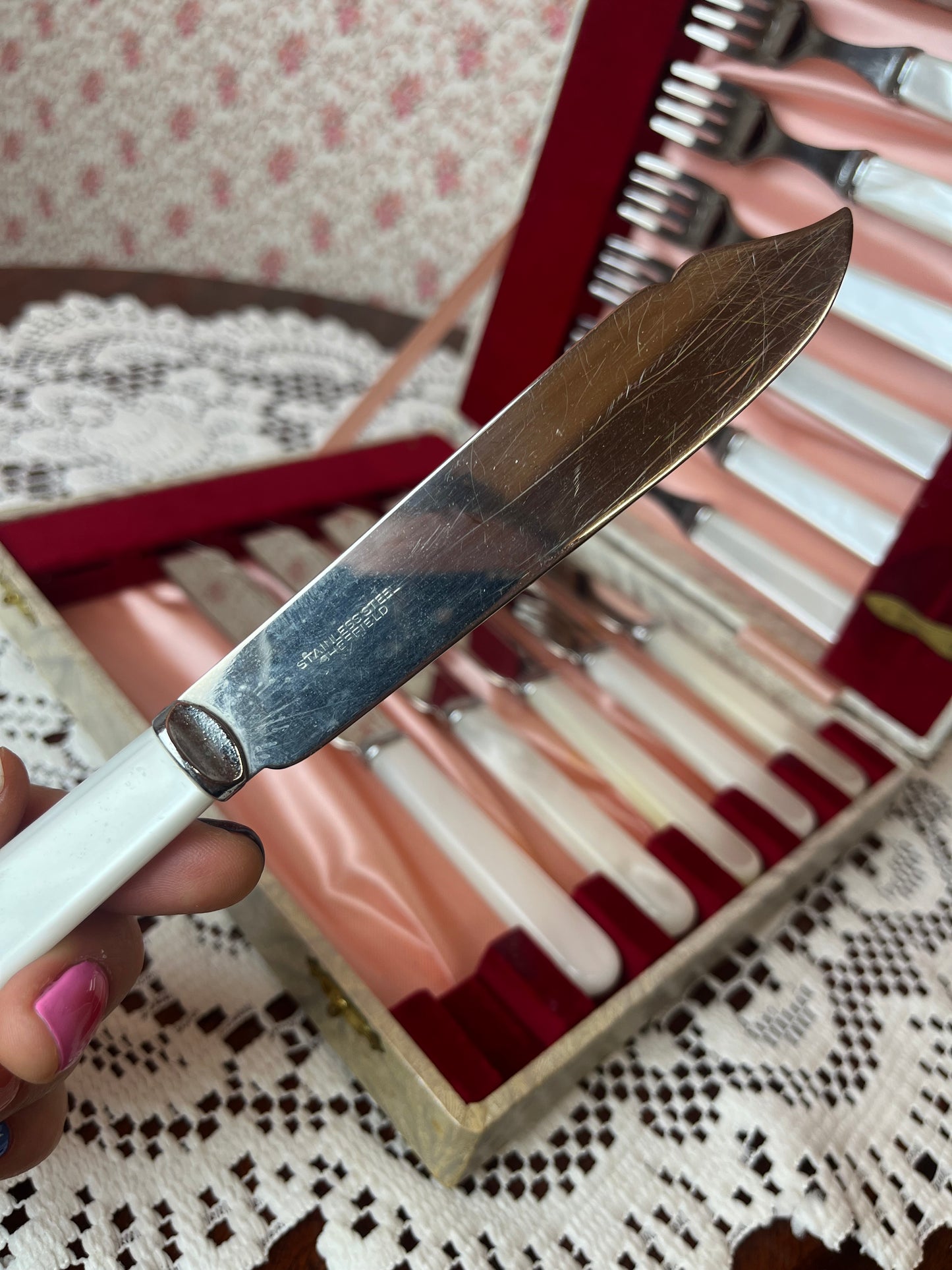 Vintage 12 Set Fish Knives & Forks in Case