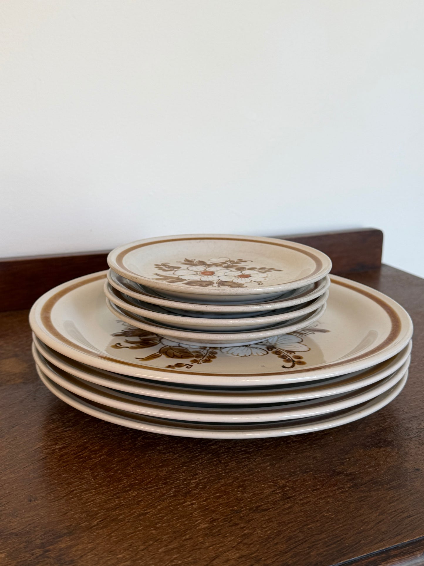 Vintage Mountain Wood Collection Stoneware Plate Set (8 Pieces)