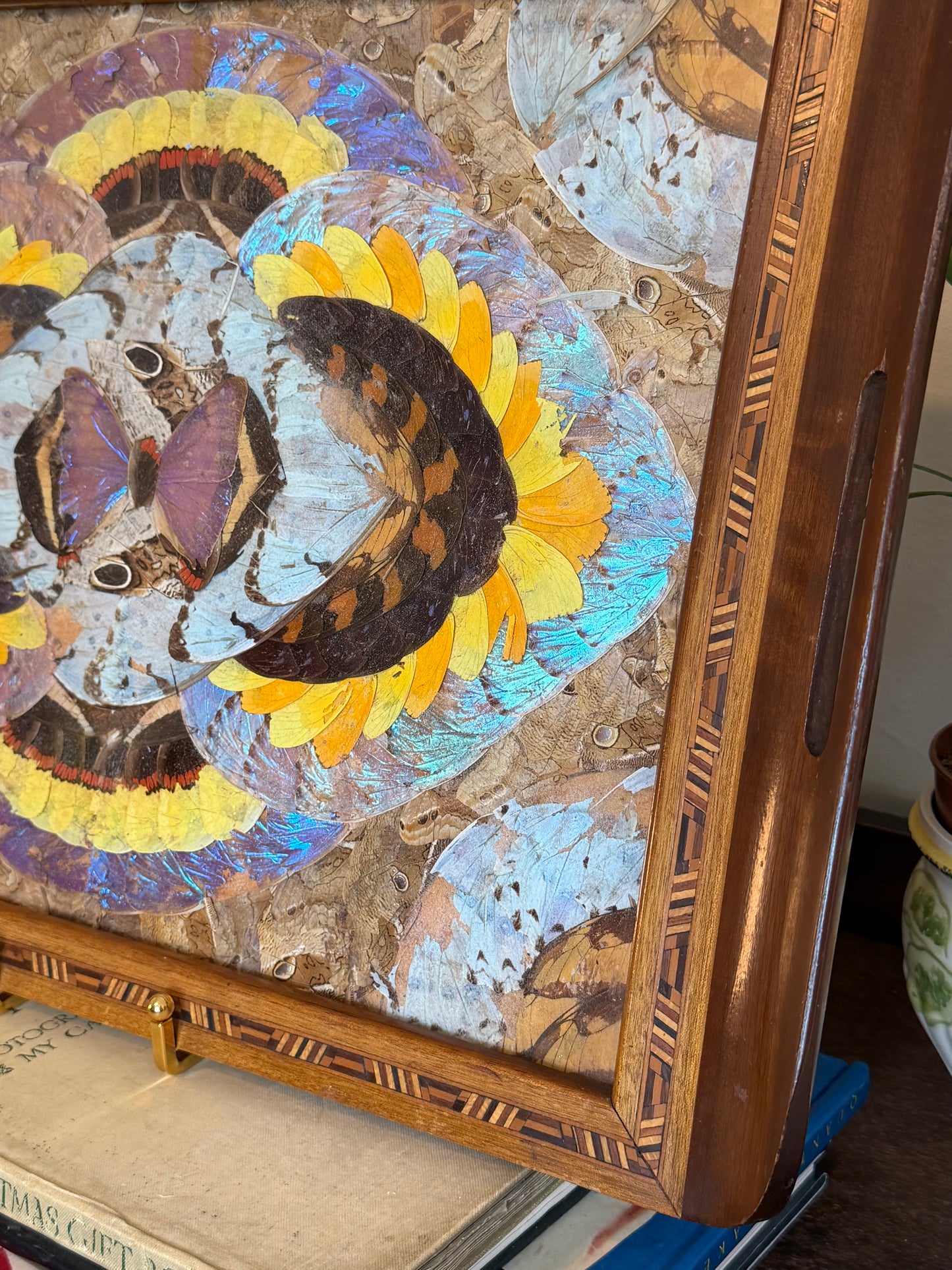Vintage Brazilian Inlaid Butterfly Tray