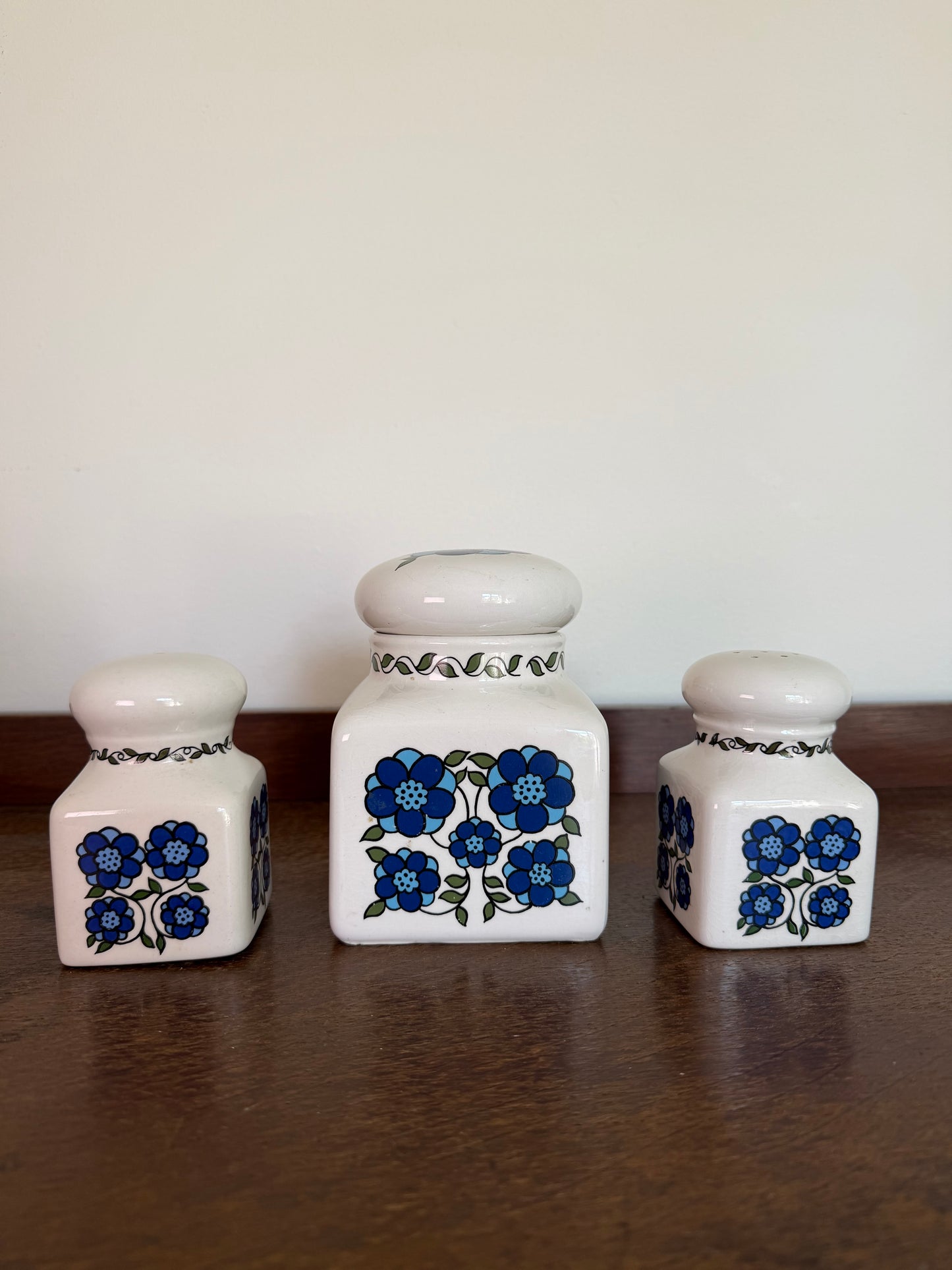 Vintage 1970s Taunton Vale Pottery Canister Set