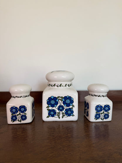 Vintage 1970s Taunton Vale Pottery Canister Set