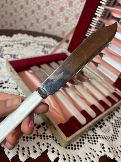 Vintage 12 Set Fish Knives & Forks in Case